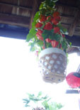 f0072560_014262.jpg