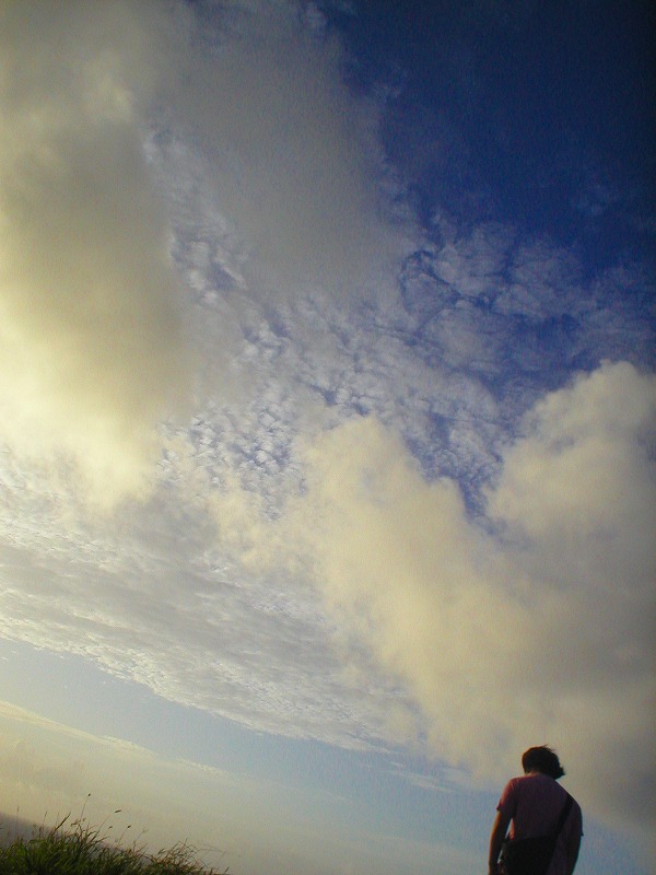 a0017161_9455691.jpg