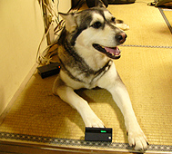 c0028664_23574991.jpg