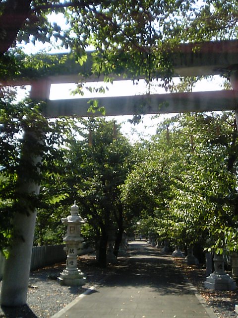 f0004379_21495517.jpg