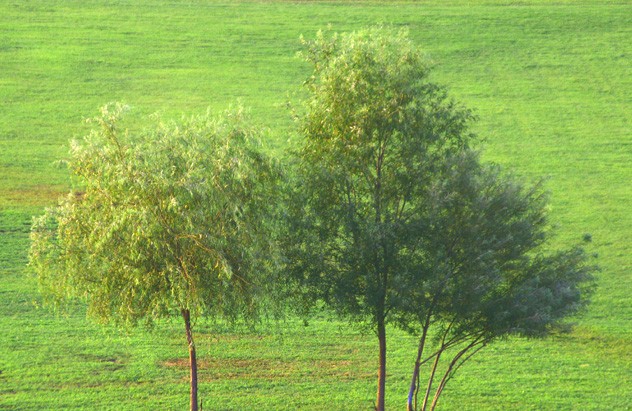 b0067789_22163261.jpg