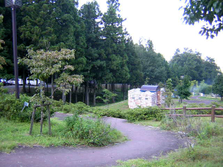 b0013897_0173768.jpg