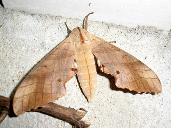 e0083097_0153759.jpg