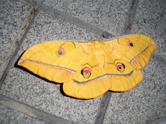 e0083097_0253991.jpg