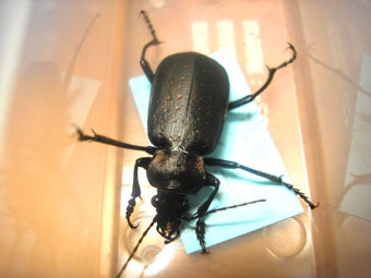 e0083097_039486.jpg