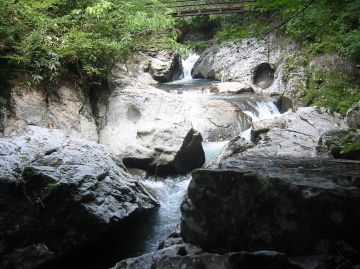 b0044804_1054090.jpg