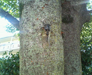 c0064706_23545960.jpg