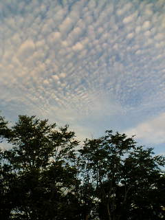 d0069311_21495515.jpg