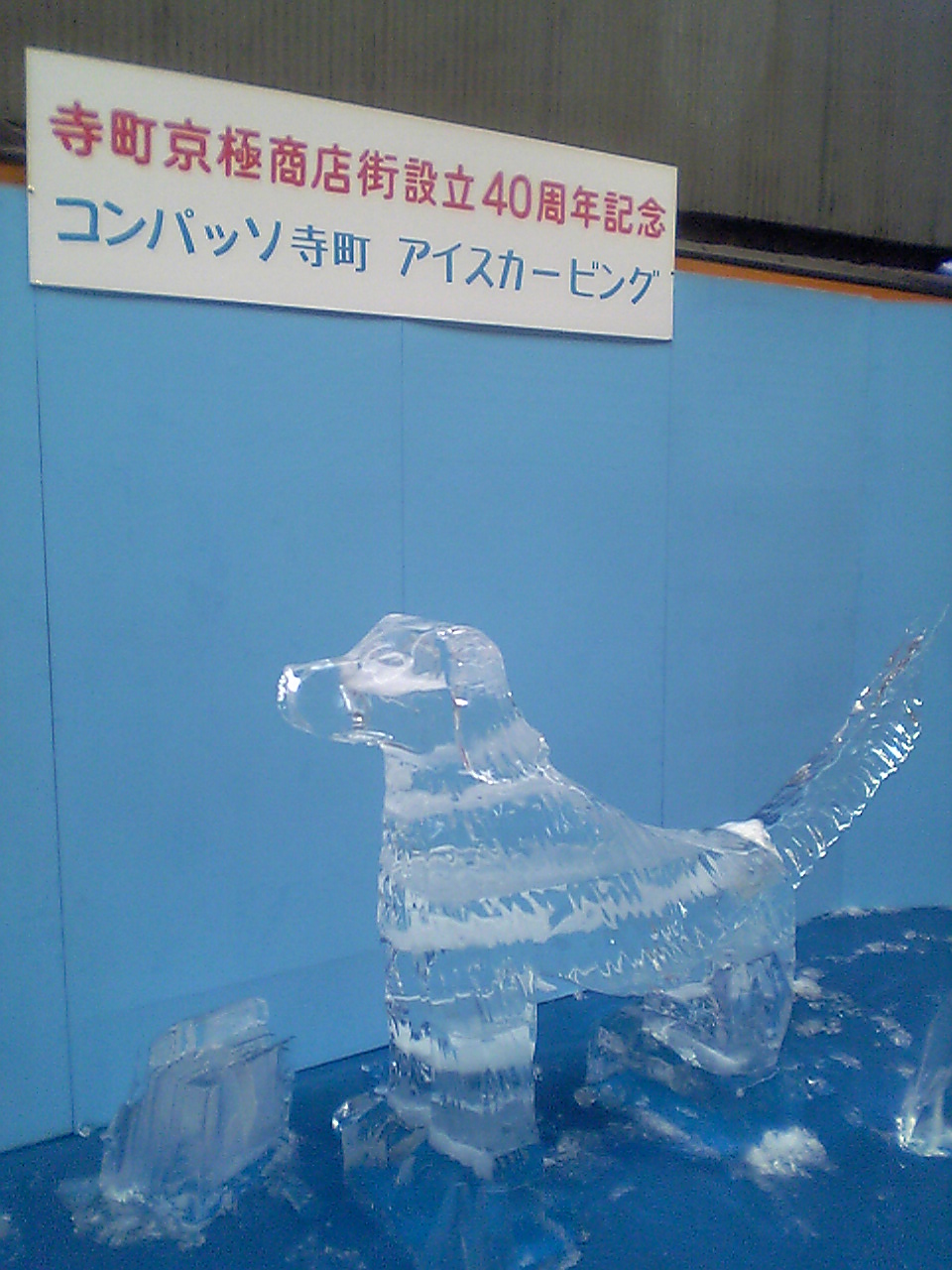 e0033314_2283593.jpg