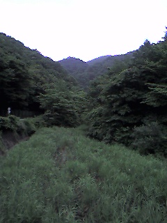 d0004716_18294185.jpg