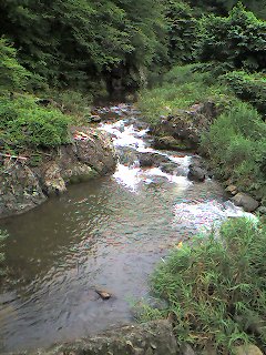 d0004716_18305715.jpg