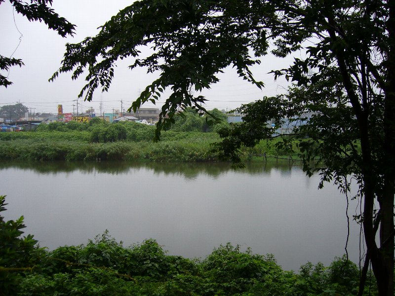 e0073717_20544213.jpg