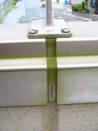 e0044919_18101225.jpg