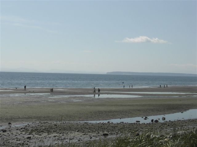 f0013519_6514482.jpg