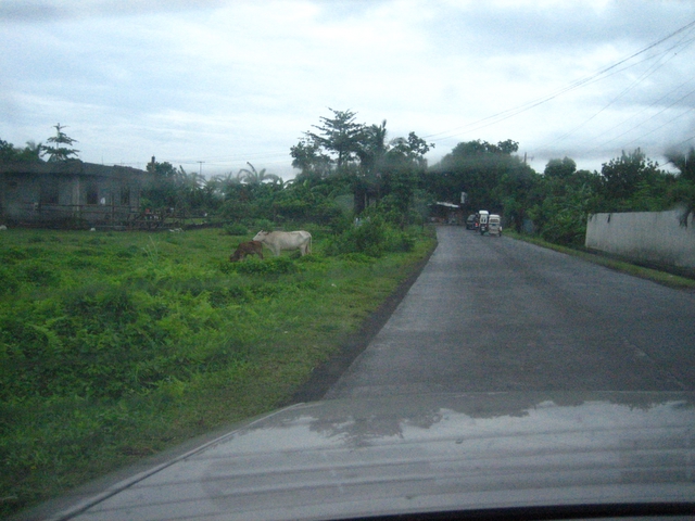e0018143_12381252.jpg