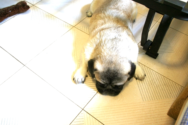 e0018143_12392355.jpg