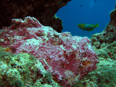 d0065247_0165322.jpg