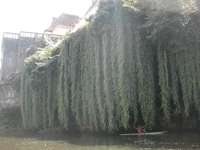 b0069848_23544111.jpg