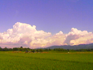 d0067357_23294460.jpg