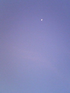 f0104057_91549.jpg