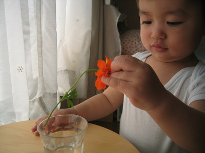 d0084758_132537.jpg