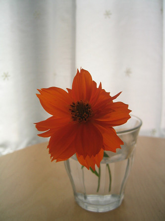 d0084758_1394540.jpg