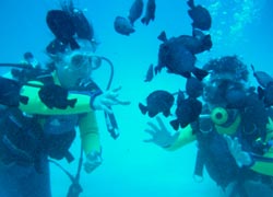 b0062363_17514781.jpg