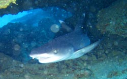 b0062363_1801665.jpg