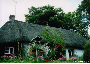 d0080167_15332448.jpg