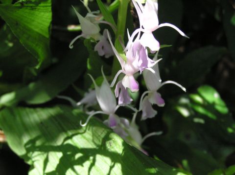c0042869_19215590.jpg