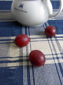 f0032969_2554071.jpg
