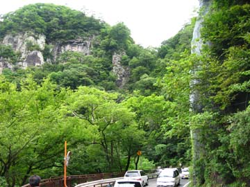 d0070473_1745017.jpg