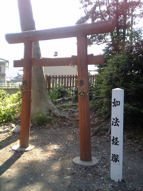 f0004379_10553635.jpg