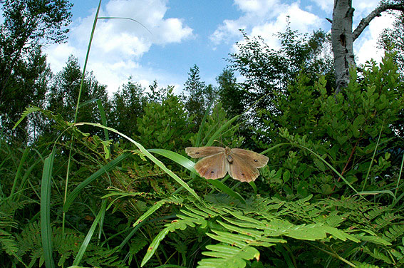 f0090680_20511221.jpg