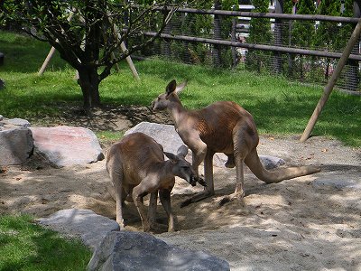 f0093592_21321146.jpg