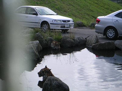 f0093592_21332876.jpg