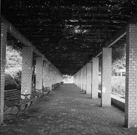 e0025893_1038693.jpg