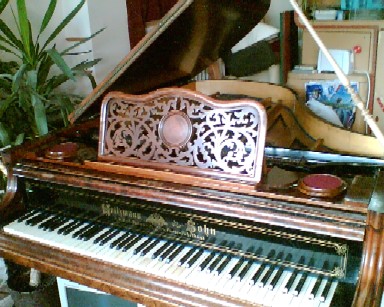 f0021504_3541739.jpg