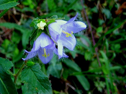 b0064411_3214459.jpg