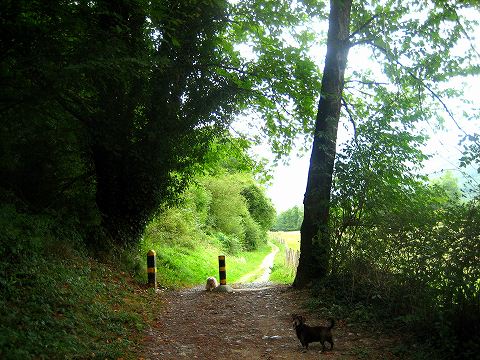 b0064411_3223675.jpg