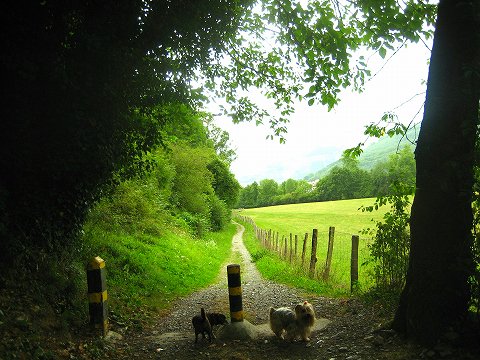 b0064411_3225538.jpg