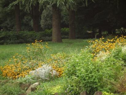 e0083212_17373898.jpg