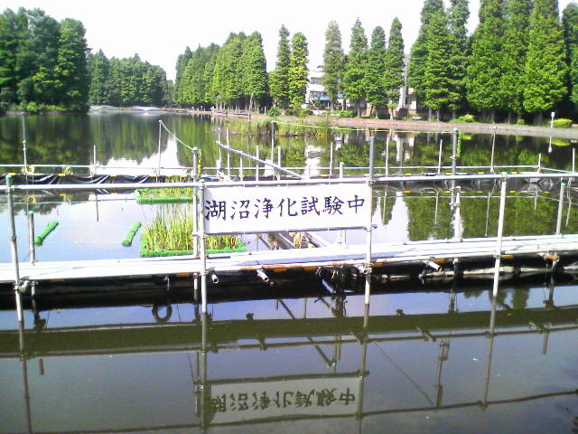 a0077616_8453098.jpg