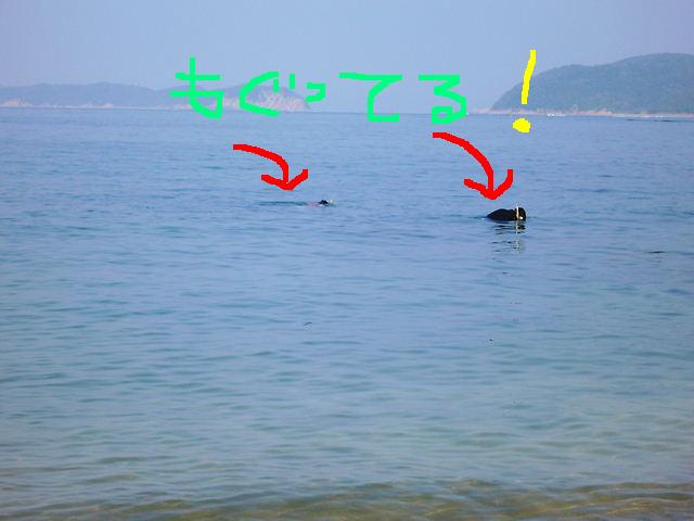 f0079723_1291779.jpg