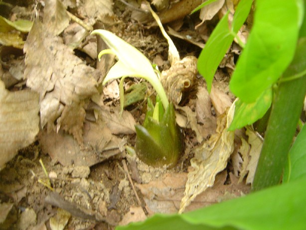 b0044825_11554411.jpg