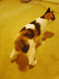 b0072729_13162675.jpg