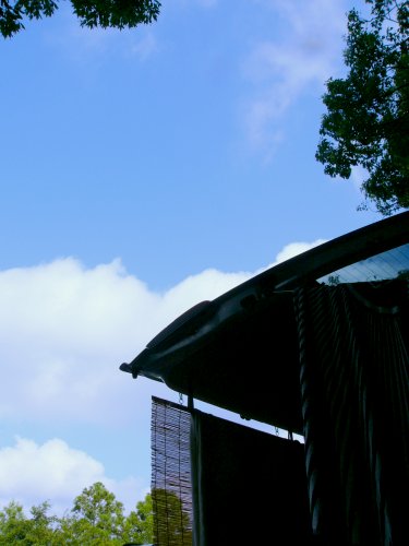 d0018131_10152932.jpg