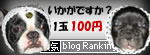 人気ブログランキングへ