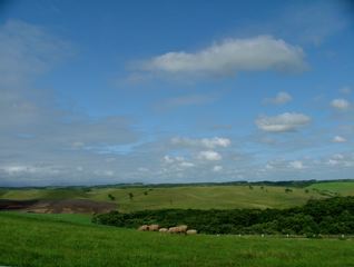 a0057237_2295593.jpg