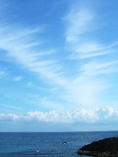 b0055939_2355076.jpg